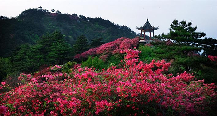 龟峰山景区第 35 张图片