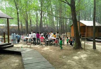 九城宫生态园第 3 张图片
