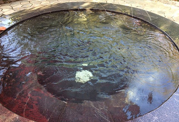 马龙盛水湾温泉第 23 张图片