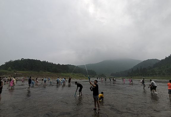 仙水洋第 14 张图片