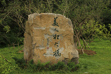 美人松苑第 15 张图片