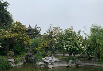 琼花观(文昌中路)第 28 张图片