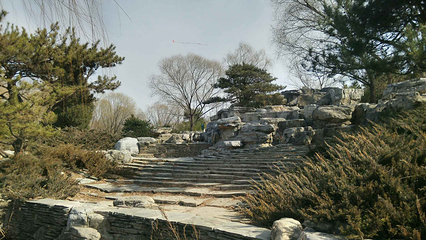 海淀公园第 21 张图片