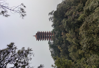 缙云山第 34 张图片