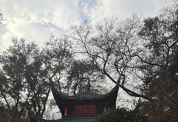 都正街第 13 张图片