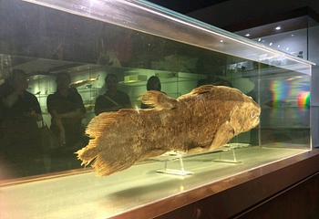 水生生物博物馆第 5 张图片