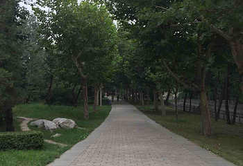 西沽公园第 14 张图片