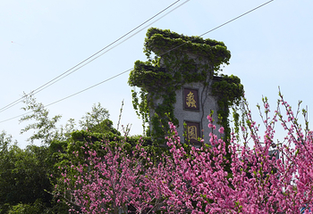 蠡园第 64 张图片