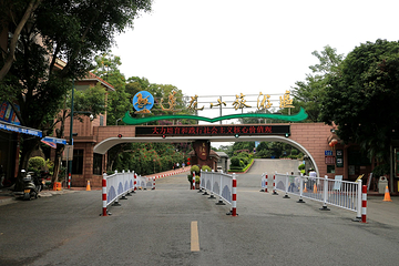 广州番禺莲花山港-香港往返客轮第 21 张图片
