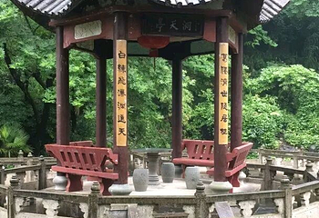 通天飞瀑第 21 张图片