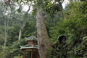南泉山第 2 张图片