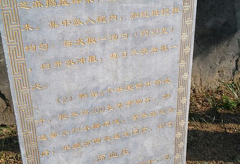 扁鹊庙第 22 张图片