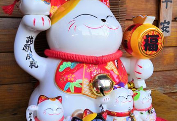 黄金瀑布第 11 张图片