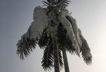 嘉山悠乐谷滑雪场第 2 张图片