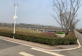 武汉农业集团郁金香主题公园第 74 张图片