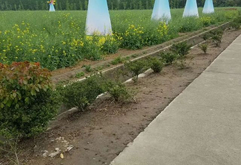 花米庄行第 5 张图片