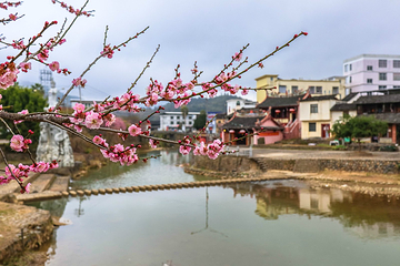 梅林古村第 20 张图片