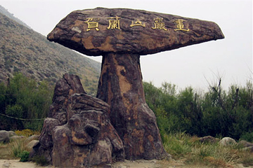 贺兰山岩画第 56 张图片