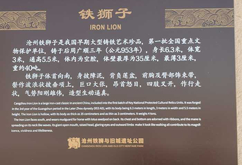 沧州铁狮子第 10 张图片