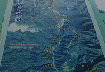 牛背梁国家森林公园第 37 张图片
