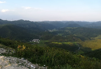 云顶草场第 32 张图片