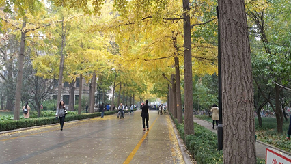 北京林业大学第 4 张图片
