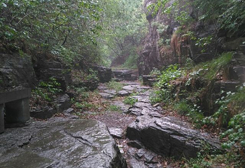 泰和山风景区第 28 张图片