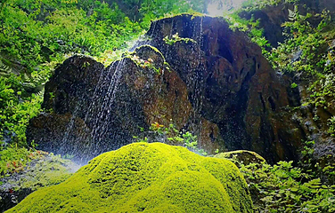 乌江黎芝峡旅游景区第 15 张图片