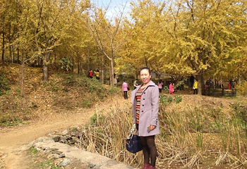安陆钱冲古银杏生态旅游区第 40 张图片