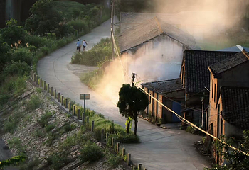 阳澄湖第 143 张图片