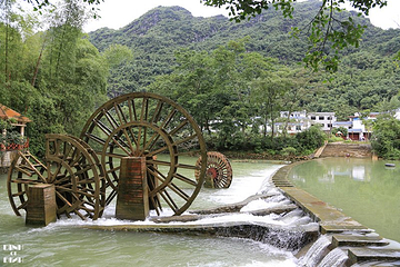 小都白村第 11 张图片