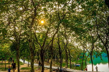 大夫山森林公园第 20 张图片