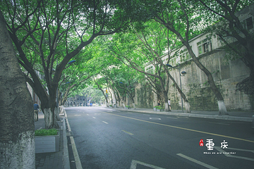 中山四路第 14 张图片