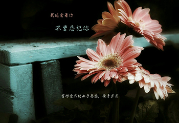 真武山古建筑群第 5 张图片