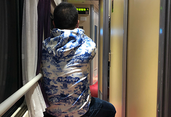 赞普林卡第 5 张图片