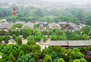 大雁塔第 191 张图片