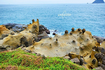 基隆和平岛地质公园第 5 张图片