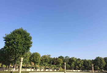 中华石鼓园第 26 张图片