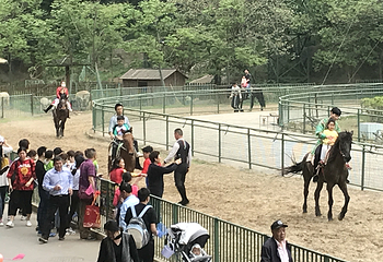 浦口珍珠泉野生动物生态园第 26 张图片