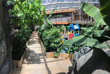 长白山一山一蓝温泉餐厅第 14 张图片