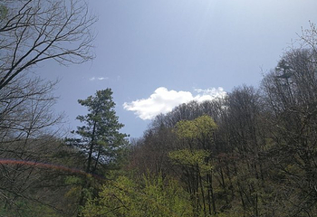 嘉陵江源头景区第 25 张图片