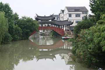 三垟湿地第 23 张图片