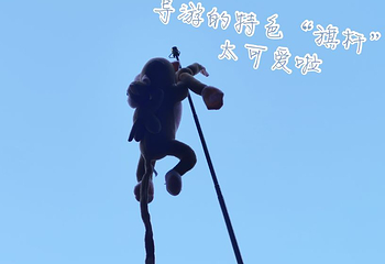 天下第一桥第 31 张图片