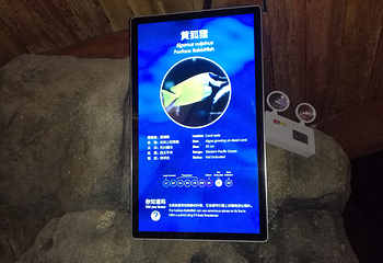 上海长风海洋世界第 78 张图片