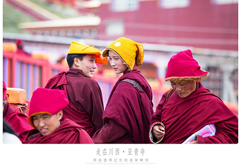 亚青寺第 12 张图片