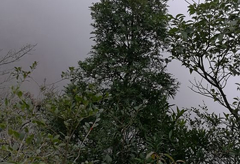 金秀圣堂山景区第 25 张图片