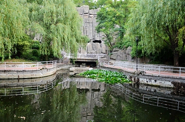 塔山旅游风景区第 45 张图片