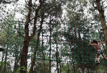 飞越丛林探险乐园第 12 张图片