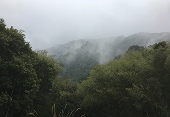 八乡山大峡谷第 14 张图片