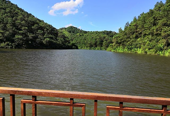 泰康山生态旅游区第 2 张图片